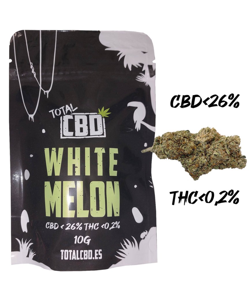 Flores Indoor de White Melon CBD
