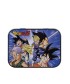 Caja Metal 11x8x2.5 cm Dragon Ballz & Apositos