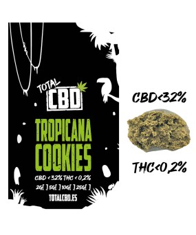 Tropicana Cookies CBD