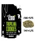 Tropicana Cookies CBD