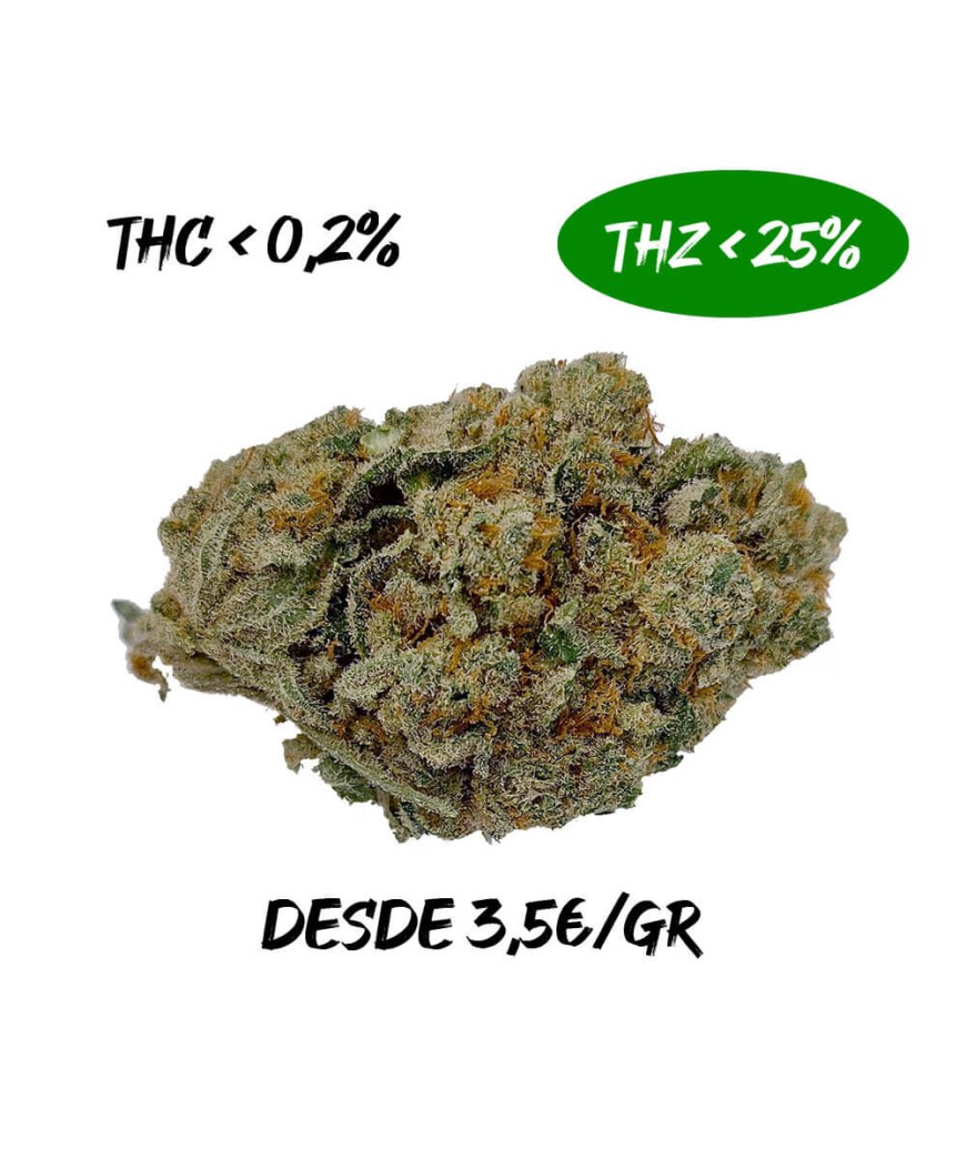 Amnesia Haze Hy pro 25% THZ
