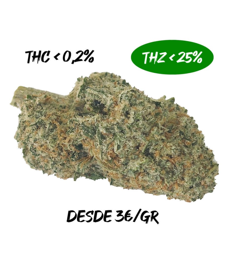 Wedding Cake 25% THZ Hidropónico